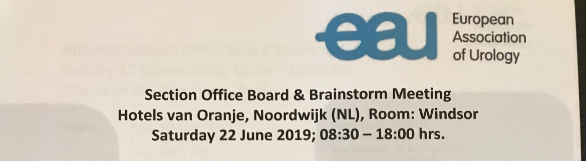El Dr. Lledó participa en la Section Office Board & Brainstorm Meeting de la European Association of Urology en Noordwijk